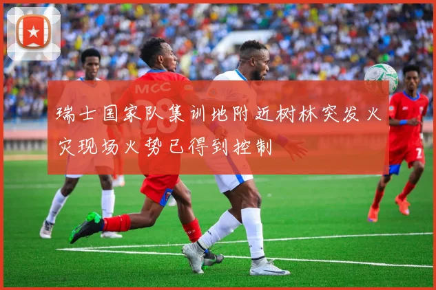 瑞士国家队集训地附近树林突发火灾现场火势已得到控制